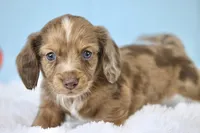 processed/fcaae4b8-05d5-4ffc-bf04-cdb7f98fd8d2/listing/9d6ca931-5802-4312-972c-1fff93bd36eb/5c2bc0b1-2aee-405a-a1c8-68ccf8ee13d9