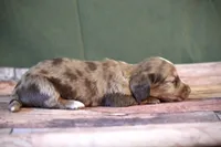 processed/fcaae4b8-05d5-4ffc-bf04-cdb7f98fd8d2/listing/9d6ca931-5802-4312-972c-1fff93bd36eb/5d5615c6-7c76-44a2-9705-ae32470cfee2