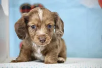 processed/fcaae4b8-05d5-4ffc-bf04-cdb7f98fd8d2/listing/9d6ca931-5802-4312-972c-1fff93bd36eb/a1abec51-855b-491c-bb61-937e27b2f52b