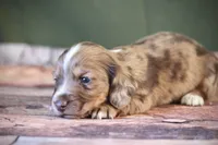 processed/fcaae4b8-05d5-4ffc-bf04-cdb7f98fd8d2/listing/9d6ca931-5802-4312-972c-1fff93bd36eb/ab36339c-90d2-4e4e-8923-8aaeed49164e