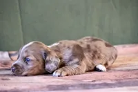 processed/fcaae4b8-05d5-4ffc-bf04-cdb7f98fd8d2/listing/9d6ca931-5802-4312-972c-1fff93bd36eb/e24c3c12-3d43-4f73-a426-0b1b0021c483