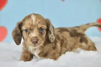 processed/fcaae4b8-05d5-4ffc-bf04-cdb7f98fd8d2/listing/9d6ca931-5802-4312-972c-1fff93bd36eb/f23dc1f9-2a34-4ae9-bf30-bee6bf0d4773