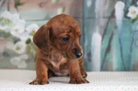 processed/fcaae4b8-05d5-4ffc-bf04-cdb7f98fd8d2/listing/a39670a3-a154-4e46-9929-aba9b9964940/1dc58ee5-7533-436d-883a-0eebe817d719