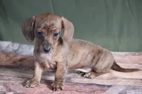 processed/fcaae4b8-05d5-4ffc-bf04-cdb7f98fd8d2/listing/a39670a3-a154-4e46-9929-aba9b9964940/256d4b58-bb01-4d0e-a9ee-df12e17f12d5