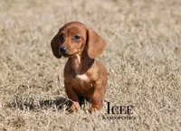 processed/fcaae4b8-05d5-4ffc-bf04-cdb7f98fd8d2/listing/a39670a3-a154-4e46-9929-aba9b9964940/57e51712-6d48-4907-ad56-1321641d6a4e