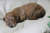 processed/fcaae4b8-05d5-4ffc-bf04-cdb7f98fd8d2/listing/a39670a3-a154-4e46-9929-aba9b9964940/75306e97-93b1-46e5-9d69-12255bf220b0