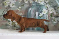 processed/fcaae4b8-05d5-4ffc-bf04-cdb7f98fd8d2/listing/a39670a3-a154-4e46-9929-aba9b9964940/941b894c-51e7-4c76-b9a8-39d993011ac9