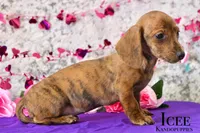 processed/fcaae4b8-05d5-4ffc-bf04-cdb7f98fd8d2/listing/a39670a3-a154-4e46-9929-aba9b9964940/9f1eb4e2-d174-4b3f-8259-a08b92b6d05d