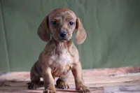 processed/fcaae4b8-05d5-4ffc-bf04-cdb7f98fd8d2/listing/a39670a3-a154-4e46-9929-aba9b9964940/b8cea72d-e952-4fed-9717-311e17ecbed6