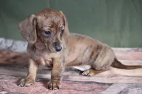 processed/fcaae4b8-05d5-4ffc-bf04-cdb7f98fd8d2/listing/a39670a3-a154-4e46-9929-aba9b9964940/c9d5d565-f67e-4894-b3e5-cb8b799cf796