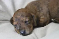 processed/fcaae4b8-05d5-4ffc-bf04-cdb7f98fd8d2/listing/a39670a3-a154-4e46-9929-aba9b9964940/d1ac5387-cc9e-4fb0-9c09-26a17c85dac8