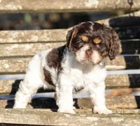 processed/fcaae4b8-05d5-4ffc-bf04-cdb7f98fd8d2/listing/a3b6b4bc-14fe-4fcd-a2d6-8659733b6281/0c2ece8e-bcf9-40bf-8cac-4c696709c65d