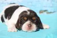 processed/fcaae4b8-05d5-4ffc-bf04-cdb7f98fd8d2/listing/a3b6b4bc-14fe-4fcd-a2d6-8659733b6281/189cf632-a5fb-4978-9c11-27ae408d336c