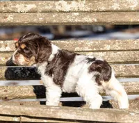 processed/fcaae4b8-05d5-4ffc-bf04-cdb7f98fd8d2/listing/a3b6b4bc-14fe-4fcd-a2d6-8659733b6281/3a5c4c6c-223e-43fc-b478-cadf5d46e983