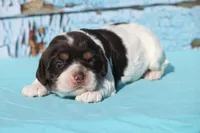 processed/fcaae4b8-05d5-4ffc-bf04-cdb7f98fd8d2/listing/a3b6b4bc-14fe-4fcd-a2d6-8659733b6281/53fb9188-fd41-41b5-b049-d18c221d161c