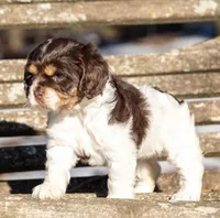 processed/fcaae4b8-05d5-4ffc-bf04-cdb7f98fd8d2/listing/a3b6b4bc-14fe-4fcd-a2d6-8659733b6281/663f967d-84d7-44ff-8a5f-958db8801c22