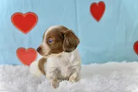 processed/fcaae4b8-05d5-4ffc-bf04-cdb7f98fd8d2/listing/e679e9e0-8e6d-447e-8915-3ee485f4466f/2878cef2-6d45-4898-bac2-5fb83eb0904b