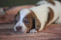 processed/fcaae4b8-05d5-4ffc-bf04-cdb7f98fd8d2/listing/e679e9e0-8e6d-447e-8915-3ee485f4466f/59d10d82-8527-408e-bc40-ec6446f64df6