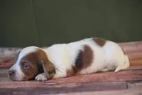 processed/fcaae4b8-05d5-4ffc-bf04-cdb7f98fd8d2/listing/e679e9e0-8e6d-447e-8915-3ee485f4466f/6c1f71a0-a41c-45ea-8e9f-6768eb4c78cb