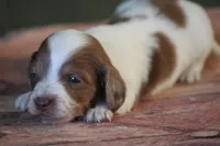 processed/fcaae4b8-05d5-4ffc-bf04-cdb7f98fd8d2/listing/e679e9e0-8e6d-447e-8915-3ee485f4466f/ce1db758-91e4-49a5-a986-e006159a8340