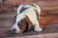 processed/fcaae4b8-05d5-4ffc-bf04-cdb7f98fd8d2/listing/e679e9e0-8e6d-447e-8915-3ee485f4466f/f6223825-90f1-4550-8e5f-70c2b2a03e1e