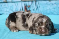 processed/fcaae4b8-05d5-4ffc-bf04-cdb7f98fd8d2/listing/e8c70346-b2ed-432e-b312-1d6ca191d667/2677c118-996f-4abb-974c-642142484cfe