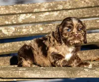 processed/fcaae4b8-05d5-4ffc-bf04-cdb7f98fd8d2/listing/e8c70346-b2ed-432e-b312-1d6ca191d667/4e6dcf32-8688-4d6f-b448-17341aacb412