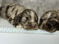 processed/fcaae4b8-05d5-4ffc-bf04-cdb7f98fd8d2/listing/e8c70346-b2ed-432e-b312-1d6ca191d667/b9fe7f7c-88a1-422b-bd99-ac1408099e20