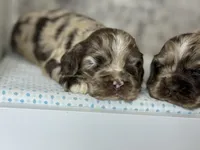 processed/fcaae4b8-05d5-4ffc-bf04-cdb7f98fd8d2/listing/e8c70346-b2ed-432e-b312-1d6ca191d667/ee8fe3ae-0d1f-456f-9fc0-2d851f8617fc