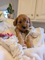 processed/fcaeae5b-76c3-4933-b2d4-347b95e11ecc/listing/682ca88a-a655-4396-8173-e0d43f12d2fc/965d2ef8-1e89-433a-8831-a41ea2ec38be