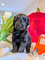 processed/fcaeae5b-76c3-4933-b2d4-347b95e11ecc/listing/7ffbaea5-d1cc-4656-9b0b-dfe8bc1cf2e3/2a5544c0-75cb-475a-8366-72f51ff68f34