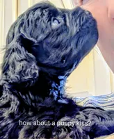 processed/fcaeae5b-76c3-4933-b2d4-347b95e11ecc/listing/7ffbaea5-d1cc-4656-9b0b-dfe8bc1cf2e3/36de01ef-e8eb-4f72-ae07-b04890cea258