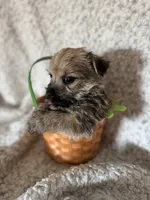 processed/fcb67238-7127-47c9-9725-0955be2c777b/listing/4d3ded30-ae1b-417e-b61b-33b9fdbecb76/2b1f4dcd-ddf7-4e4c-85e9-c50f5c980db5