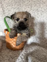 processed/fcb67238-7127-47c9-9725-0955be2c777b/listing/4d3ded30-ae1b-417e-b61b-33b9fdbecb76/3b37cb54-2084-4d98-8a2a-ab71d4fd7d4b