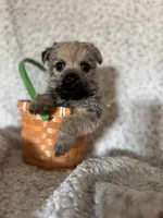 processed/fcb67238-7127-47c9-9725-0955be2c777b/listing/4d3ded30-ae1b-417e-b61b-33b9fdbecb76/40dab105-76e7-4133-9673-771ed9321344