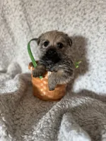 processed/fcb67238-7127-47c9-9725-0955be2c777b/listing/4d3ded30-ae1b-417e-b61b-33b9fdbecb76/bec9727f-b689-484c-af29-edd7f51eadf0