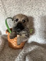 processed/fcb67238-7127-47c9-9725-0955be2c777b/listing/4d3ded30-ae1b-417e-b61b-33b9fdbecb76/efcc1077-6d79-40fe-afb4-ab9d9b1f3d21