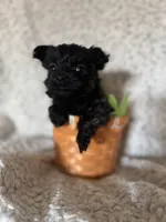 processed/fcb67238-7127-47c9-9725-0955be2c777b/listing/6adf6aa2-2ec8-40e4-84a2-0f415d3d8dd8/01299071-2cf8-4ebd-9be7-b831a2062907