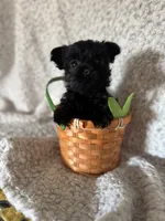 processed/fcb67238-7127-47c9-9725-0955be2c777b/listing/6adf6aa2-2ec8-40e4-84a2-0f415d3d8dd8/12a76679-74e0-4334-85a8-b1da555780cf