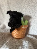 processed/fcb67238-7127-47c9-9725-0955be2c777b/listing/6adf6aa2-2ec8-40e4-84a2-0f415d3d8dd8/3cdb8187-7c2f-46b1-85eb-d70452dfbef6