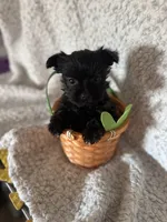 processed/fcb67238-7127-47c9-9725-0955be2c777b/listing/6adf6aa2-2ec8-40e4-84a2-0f415d3d8dd8/6af47a6c-fc9e-44b5-b8f2-2da01bdbcd71