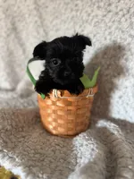 processed/fcb67238-7127-47c9-9725-0955be2c777b/listing/6adf6aa2-2ec8-40e4-84a2-0f415d3d8dd8/b0e4380b-5423-4e41-a53c-4924153e65a9