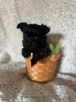 processed/fcb67238-7127-47c9-9725-0955be2c777b/listing/6adf6aa2-2ec8-40e4-84a2-0f415d3d8dd8/f2b145a3-1ece-4976-a808-8384ada9c897