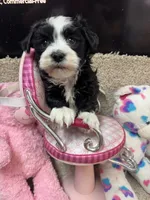 processed/fcb67238-7127-47c9-9725-0955be2c777b/listing/6c5e6ef9-d594-4838-8c42-c908a4f9b2ef/a6a58061-291e-499a-ac7f-e5fd0fe5aeee