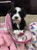 processed/fcb67238-7127-47c9-9725-0955be2c777b/listing/6c5e6ef9-d594-4838-8c42-c908a4f9b2ef/b6a5a17b-447f-46cd-942b-eb8b3cb05643