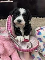 processed/fcb67238-7127-47c9-9725-0955be2c777b/listing/6c5e6ef9-d594-4838-8c42-c908a4f9b2ef/c4533105-a002-4d8d-a12d-88782dc5a063