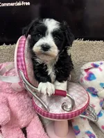 processed/fcb67238-7127-47c9-9725-0955be2c777b/listing/6c5e6ef9-d594-4838-8c42-c908a4f9b2ef/d7f08c34-8f1c-452e-bea2-d26e99187ca2