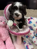 processed/fcb67238-7127-47c9-9725-0955be2c777b/listing/855dd1f2-c30f-48bb-9092-75bae953ab0c/3798d629-f3cb-48d7-85bb-792340b4848a