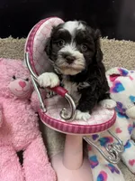 processed/fcb67238-7127-47c9-9725-0955be2c777b/listing/855dd1f2-c30f-48bb-9092-75bae953ab0c/554f570c-76f1-4e07-8c75-d4e15be00c24