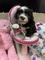 processed/fcb67238-7127-47c9-9725-0955be2c777b/listing/855dd1f2-c30f-48bb-9092-75bae953ab0c/967a5465-35fd-4710-9a48-41778e5a2404